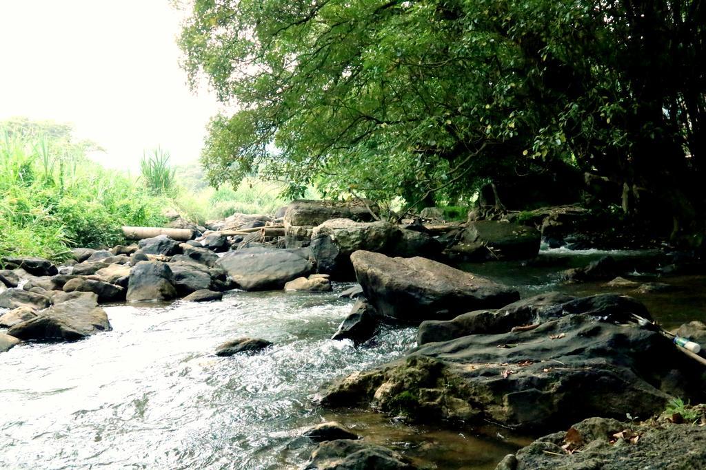 Nivahana Homestay Kandy Exteriör bild