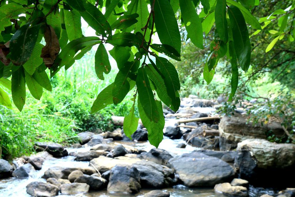 Nivahana Homestay Kandy Exteriör bild