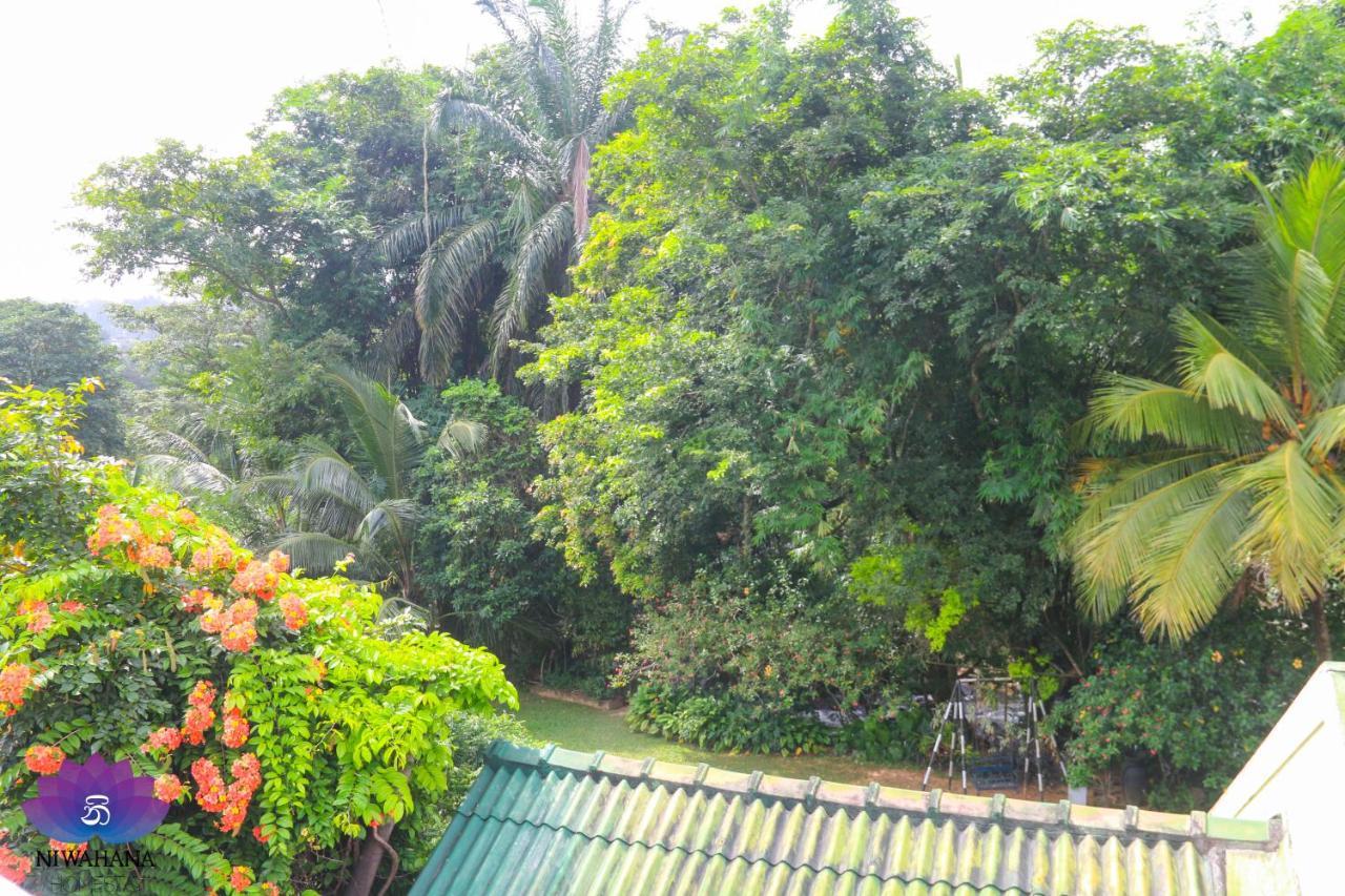 Nivahana Homestay Kandy Exteriör bild