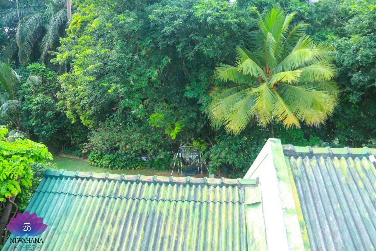 Nivahana Homestay Kandy Exteriör bild