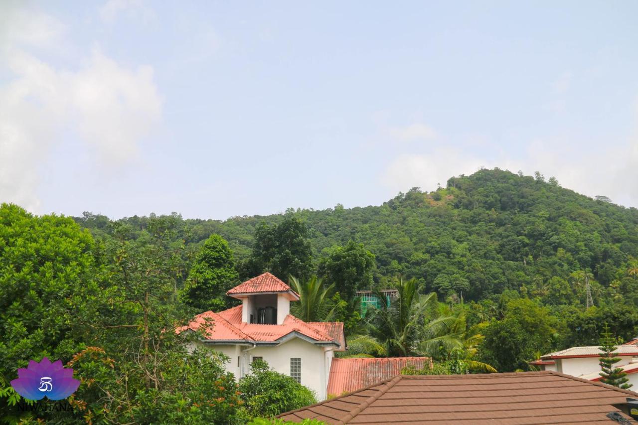 Nivahana Homestay Kandy Exteriör bild